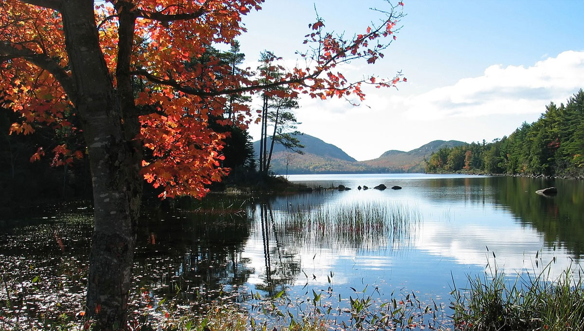 Maine Autumn